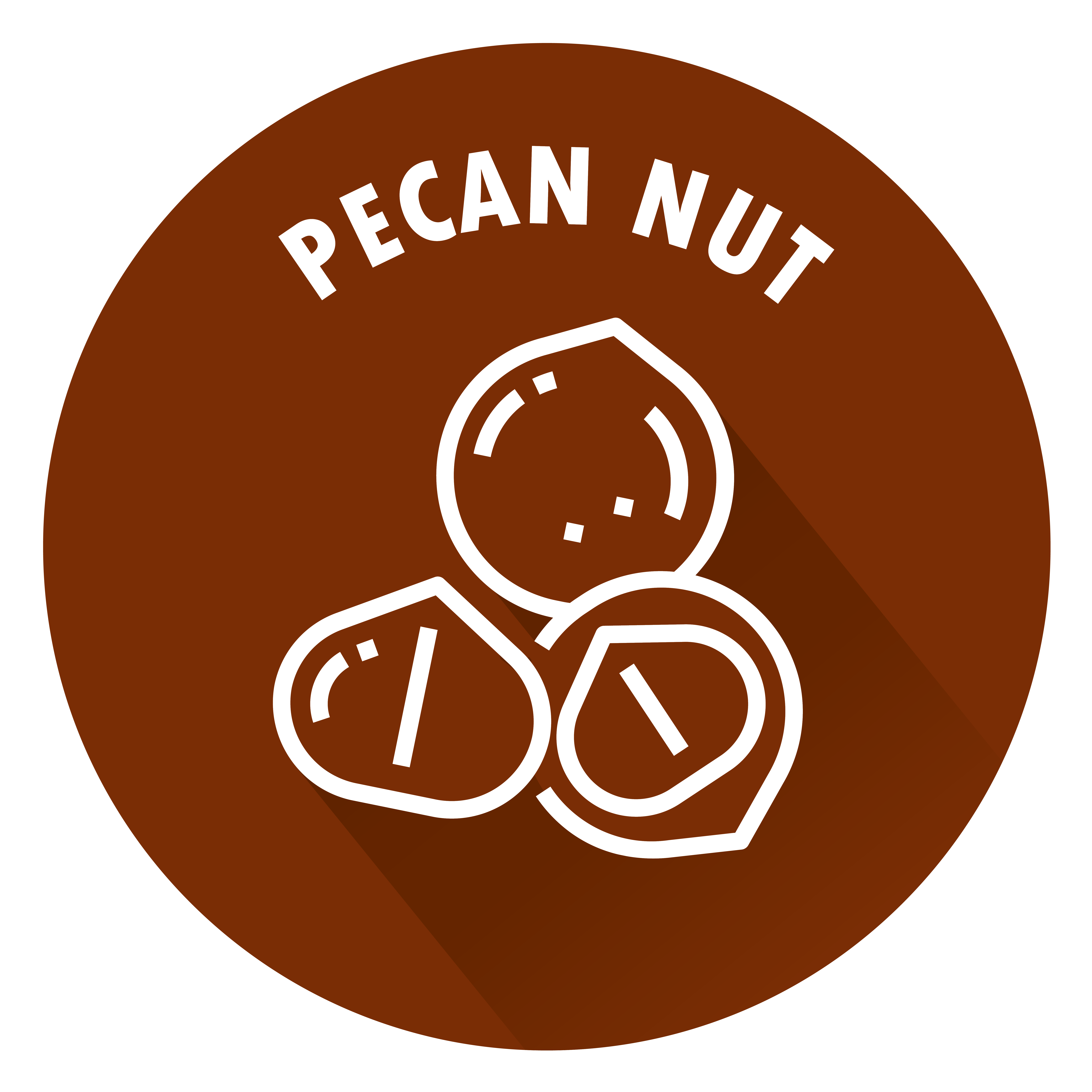 SENSISpec Spike Solution Pecan nut