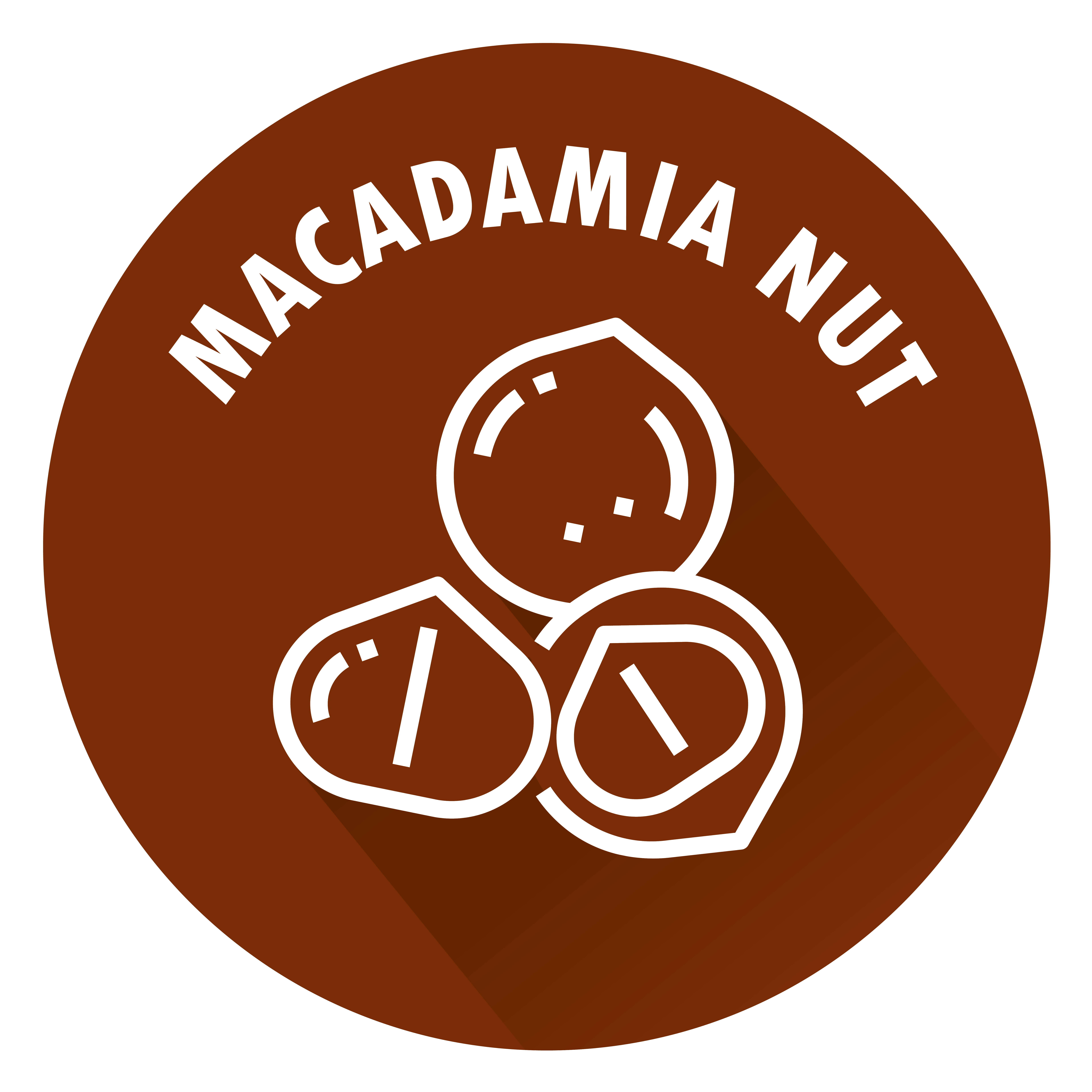 SENSISpec Spike Solution Macadamia nut