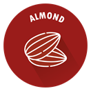 SENSISpec Spike Solution Almond