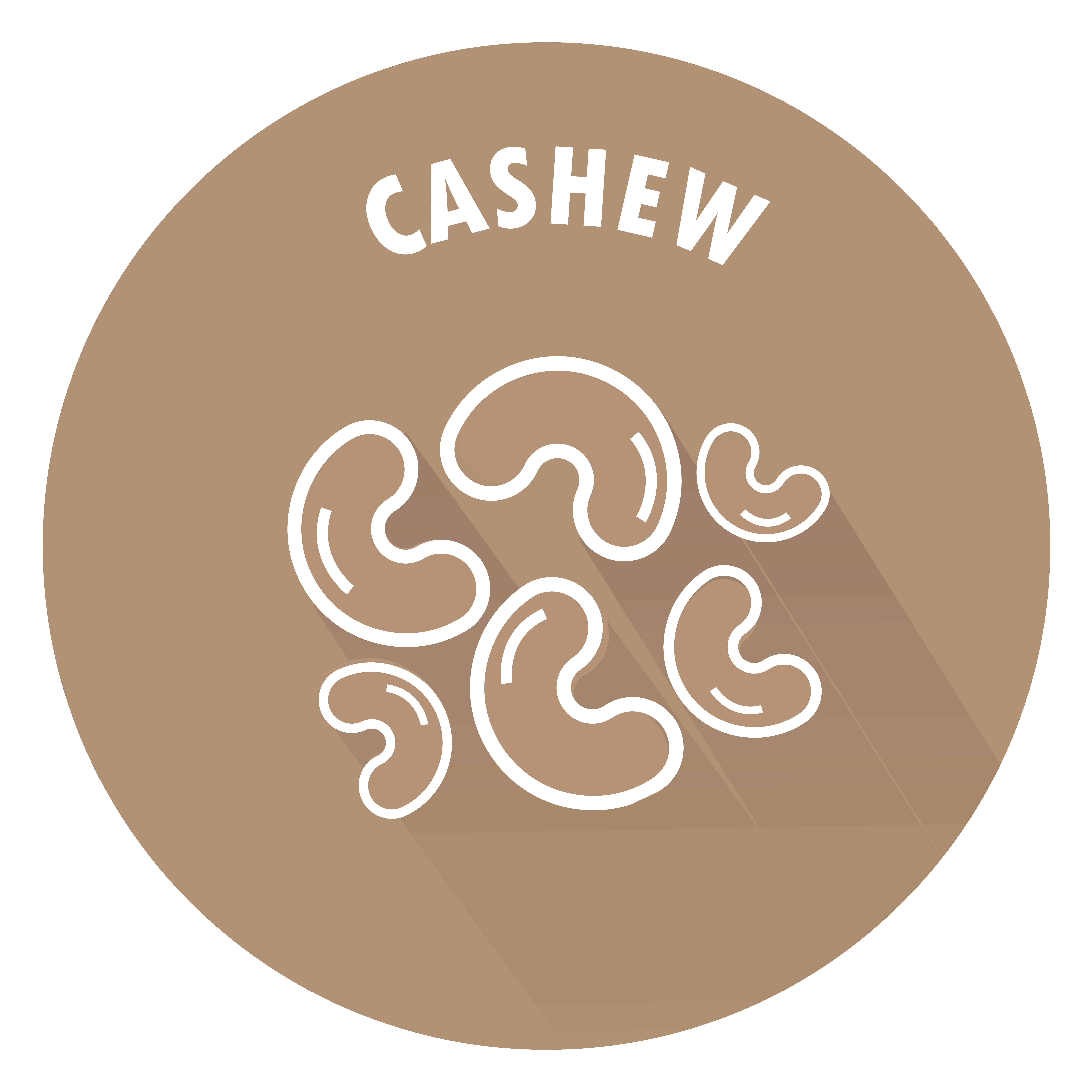 SENSISpec Spike Solution Cashew