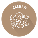 SENSISpec Spike Solution Cashew