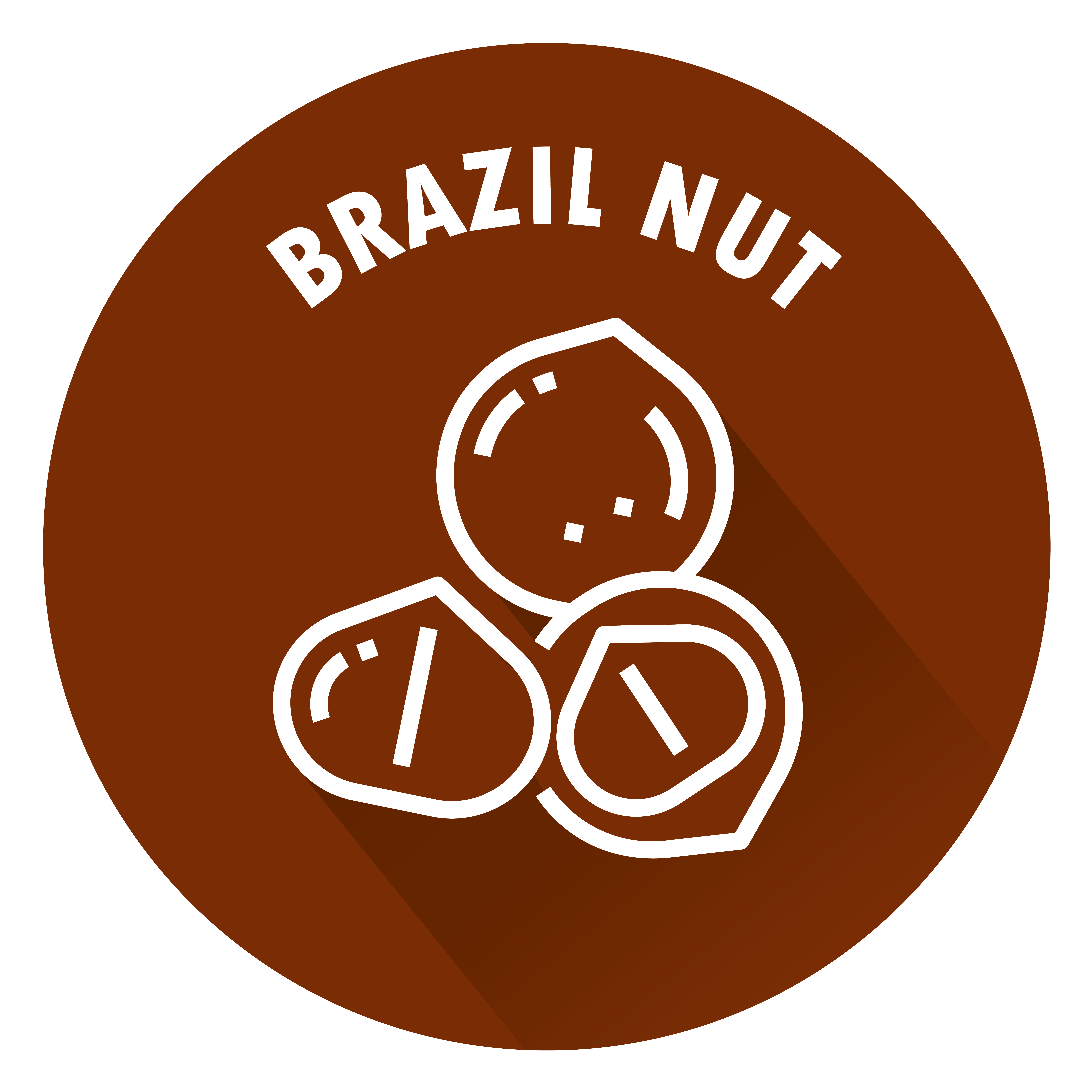 SENSISpec Spike Solution Brazil nut