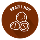 SENSISpec Spike Solution Brazil nut