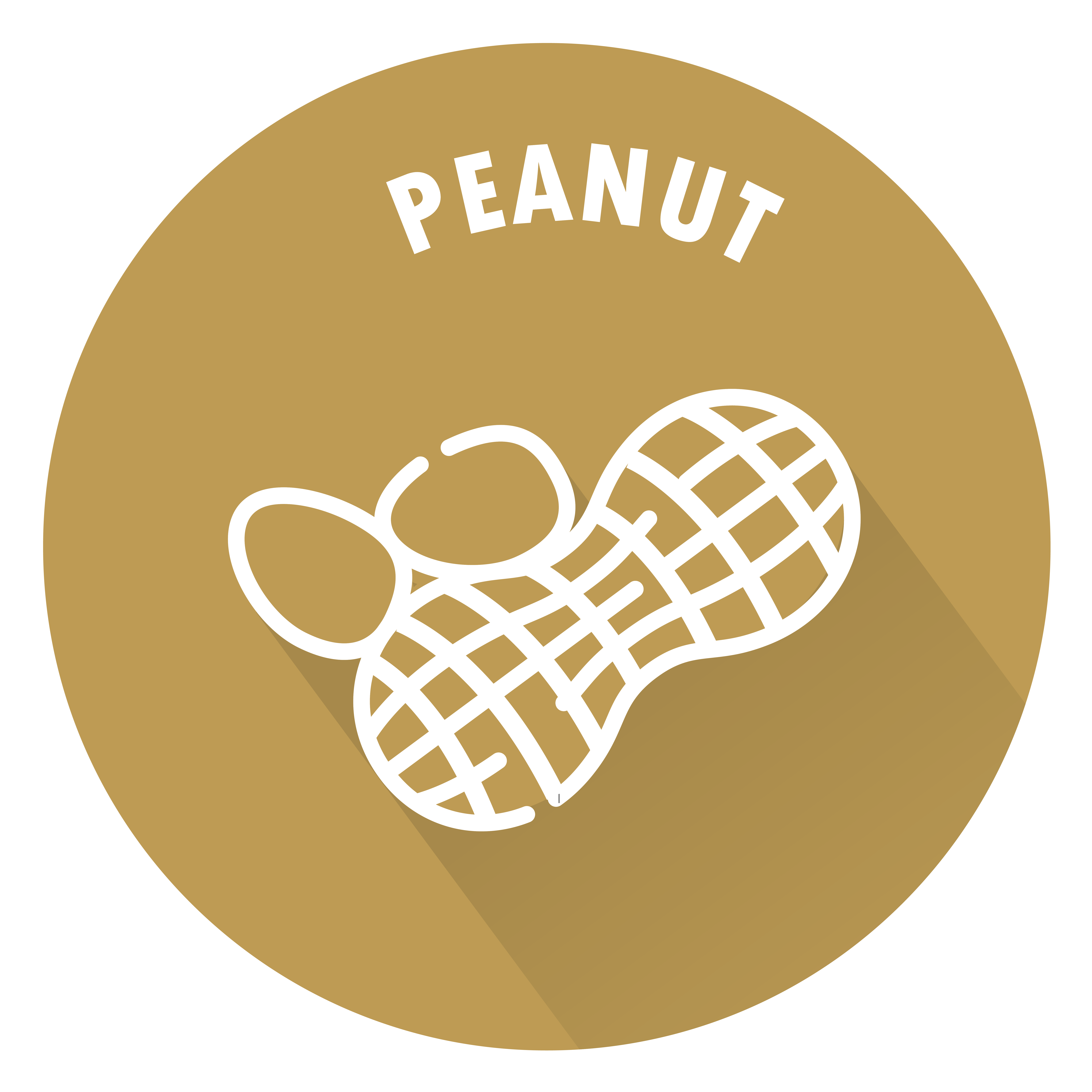 SENSISpec Spike Solution Peanut