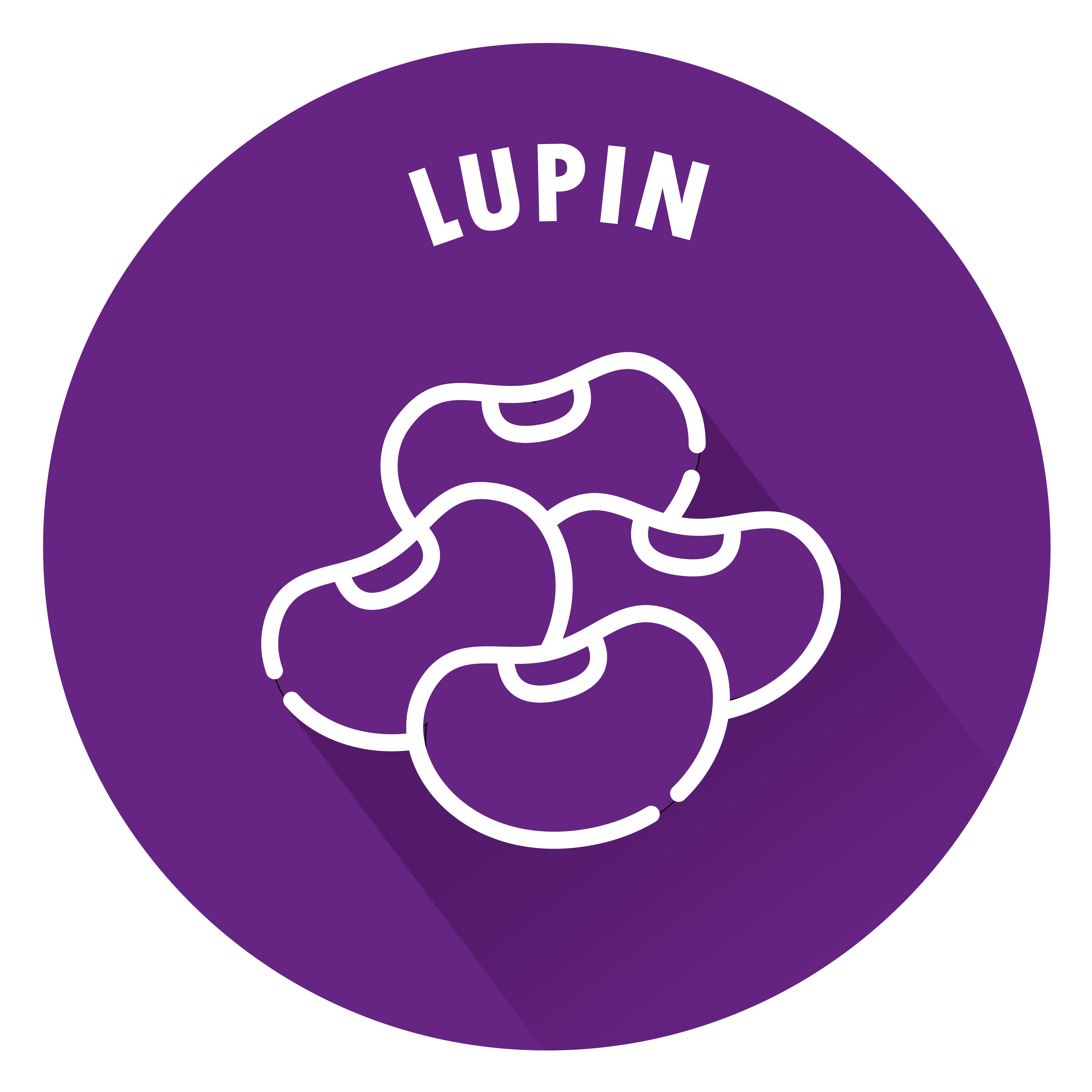 SENSISpec Spike Solution Lupin