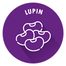 SENSISpec Spike Solution Lupin
