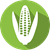 Mycotoxin Corn icon