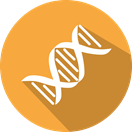 转基因鉴定和定量试剂盒